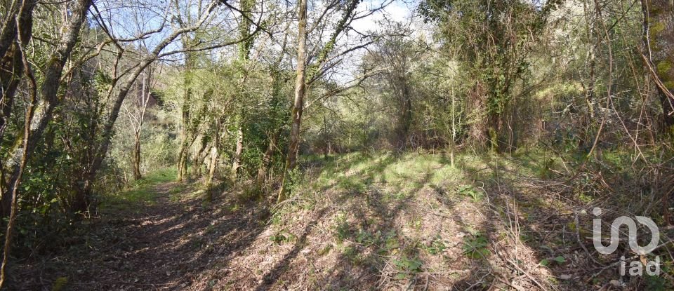 Farm land in São Miguel, Santa Eufémia e Rabaçal of 4,715 m²