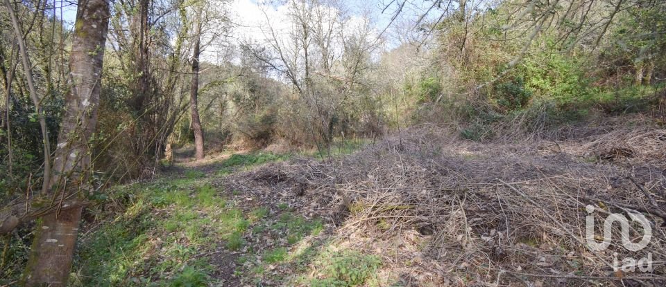 Farm land in São Miguel, Santa Eufémia e Rabaçal of 4,715 m²