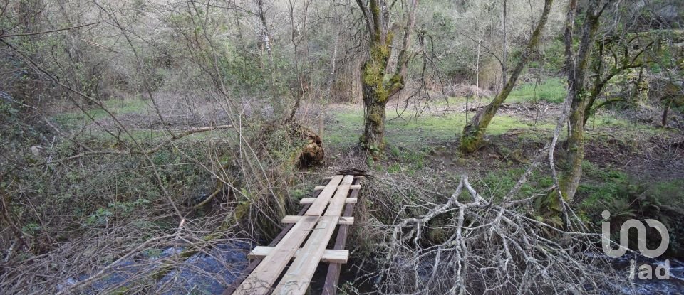 Farm land in São Miguel, Santa Eufémia e Rabaçal of 4,715 m²