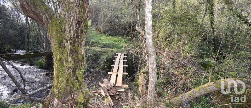 Farm land in São Miguel, Santa Eufémia e Rabaçal of 4,715 m²