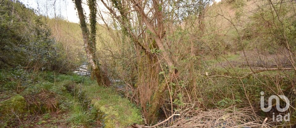 Farm land in São Miguel, Santa Eufémia e Rabaçal of 4,715 m²