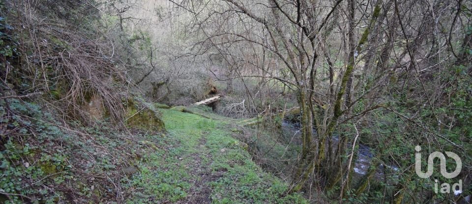 Farm land in São Miguel, Santa Eufémia e Rabaçal of 4,715 m²