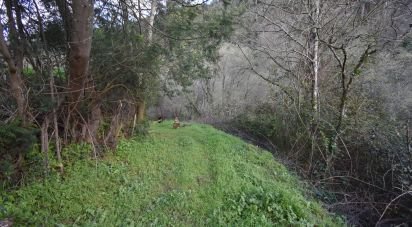 Farm land in São Miguel, Santa Eufémia e Rabaçal of 4,715 m²