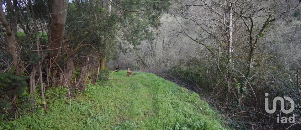 Farm land in São Miguel, Santa Eufémia e Rabaçal of 4,715 m²