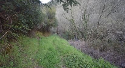 Farm land in São Miguel, Santa Eufémia e Rabaçal of 4,715 m²