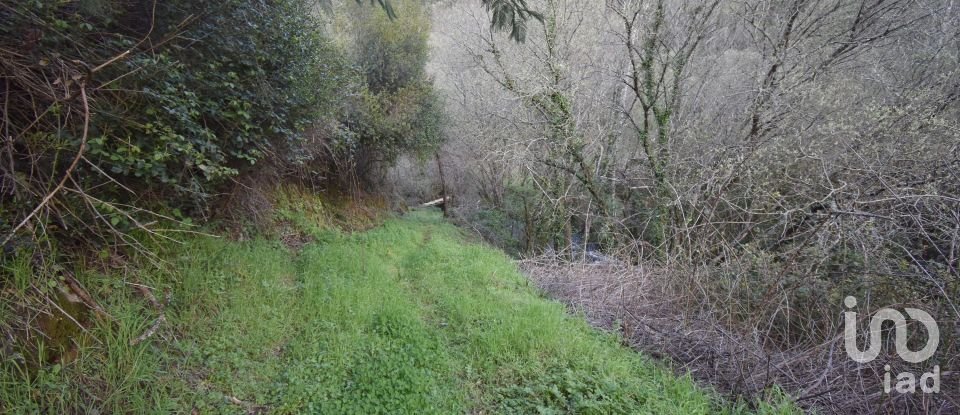 Farm land in São Miguel, Santa Eufémia e Rabaçal of 4,715 m²