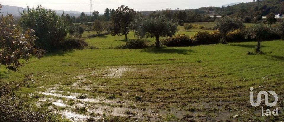 Terrain agricole à Peraboa de 130 000 m²