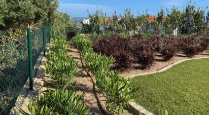 Terrain à Sagres de 450 m²