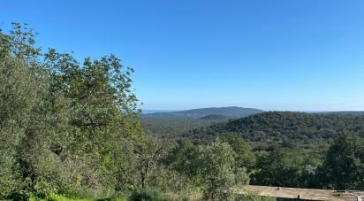 Farm land in São Brás de Alportel of 2,420 m²
