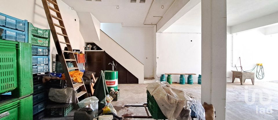 Moradia T3 em Lourinhã e Atalaia de 173 m²