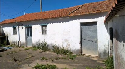 Maison T3 à São Pedro da Cadeira de 117 m²