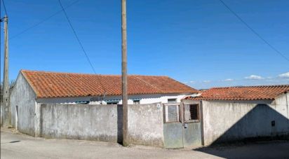 Maison T3 à São Pedro da Cadeira de 117 m²