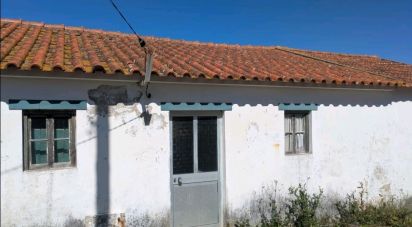 Maison T3 à São Pedro da Cadeira de 117 m²