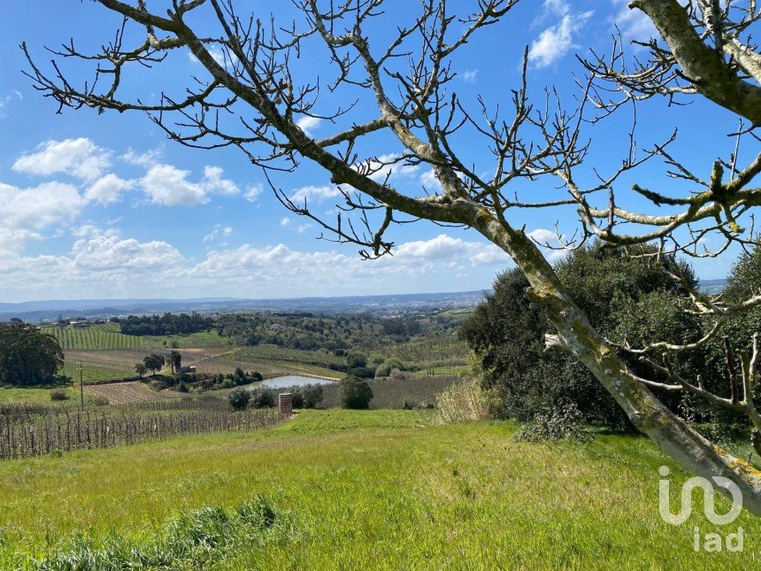 Terrain à Carvalhal de 3 080 m²