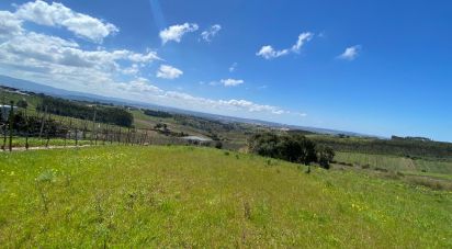 Terreno em Carvalhal de 3 080 m²