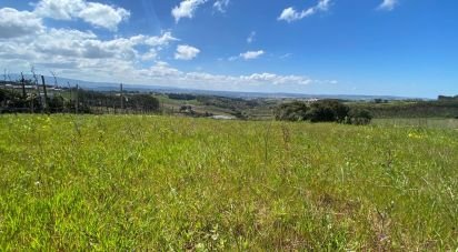 Terreno em Carvalhal de 3 080 m²