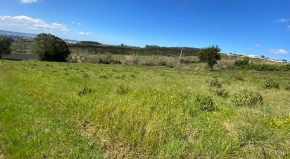 Terreno em Carvalhal de 3 080 m²