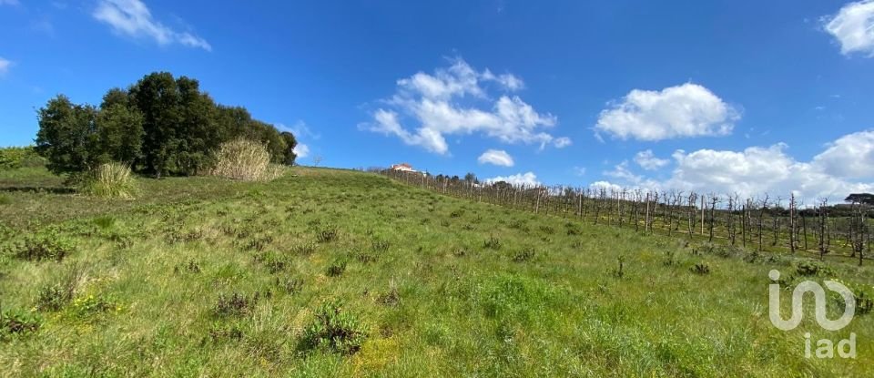 Terrain à Carvalhal de 3 080 m²