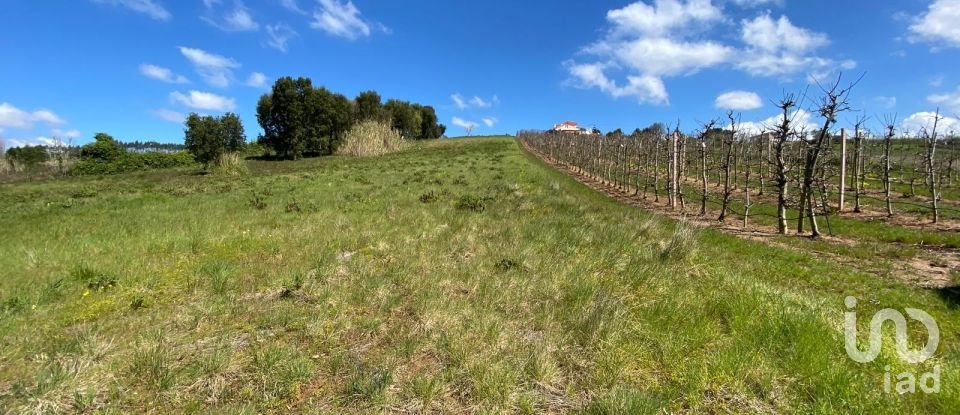 Terrain à Carvalhal de 3 080 m²