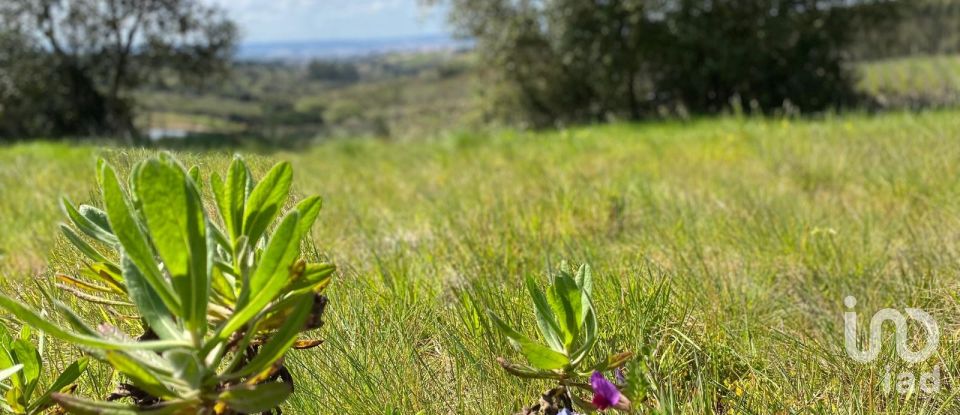 Terrain à Carvalhal de 3 080 m²