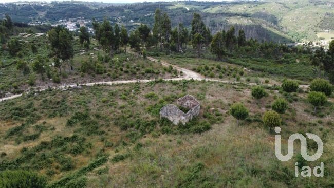 Land in Seixo da Beira of 48,000 m²