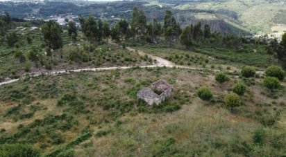 Terrain à Seixo da Beira de 48 000 m²