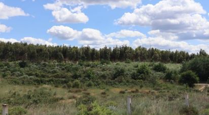 Terrain à Seixo da Beira de 48 000 m²