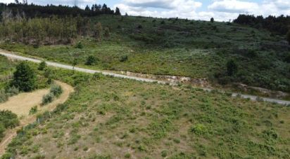 Terrain à Seixo da Beira de 48 000 m²