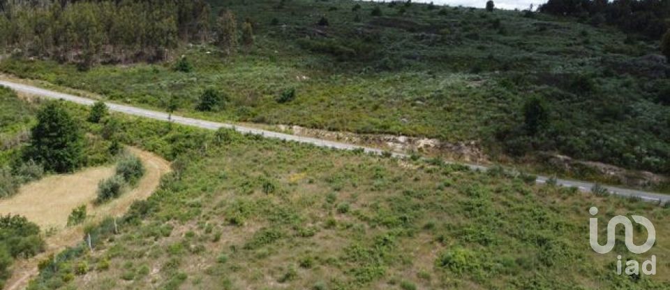 Land in Seixo da Beira of 48,000 m²