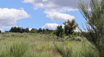 Terrain à Seixo da Beira de 48 000 m²