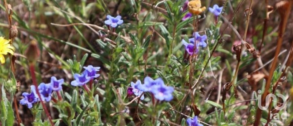 Land in Seixo da Beira of 48,000 m²