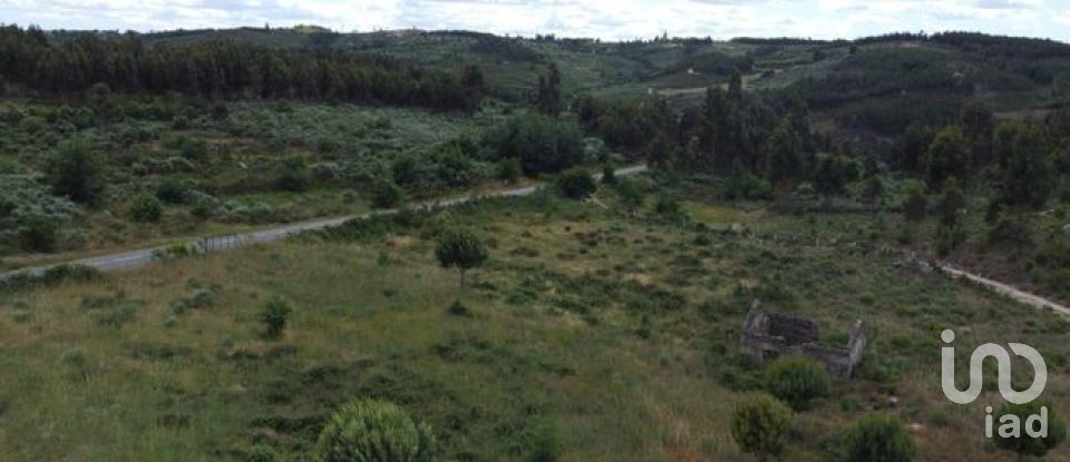 Land in Seixo da Beira of 48,000 m²