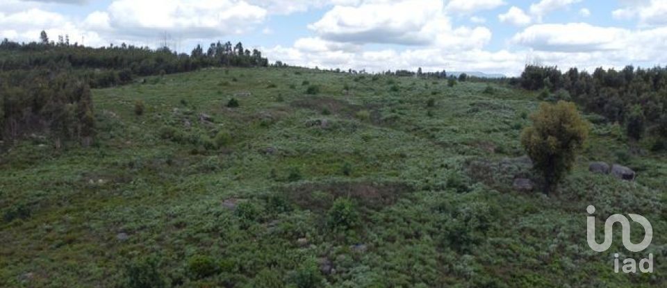 Land in Seixo da Beira of 48,000 m²