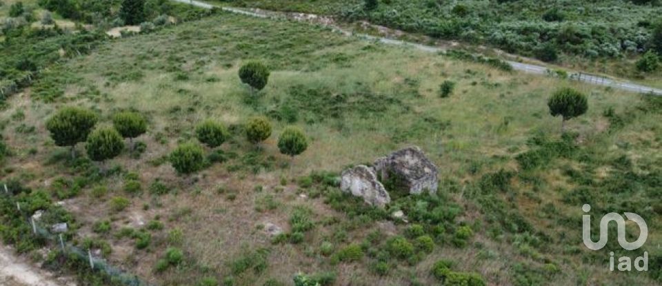 Land in Seixo da Beira of 48,000 m²
