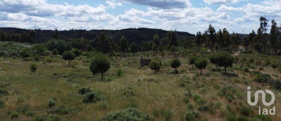 Land in Seixo da Beira of 48,000 m²