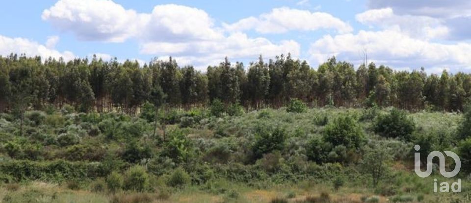 Land in Seixo da Beira of 48,000 m²