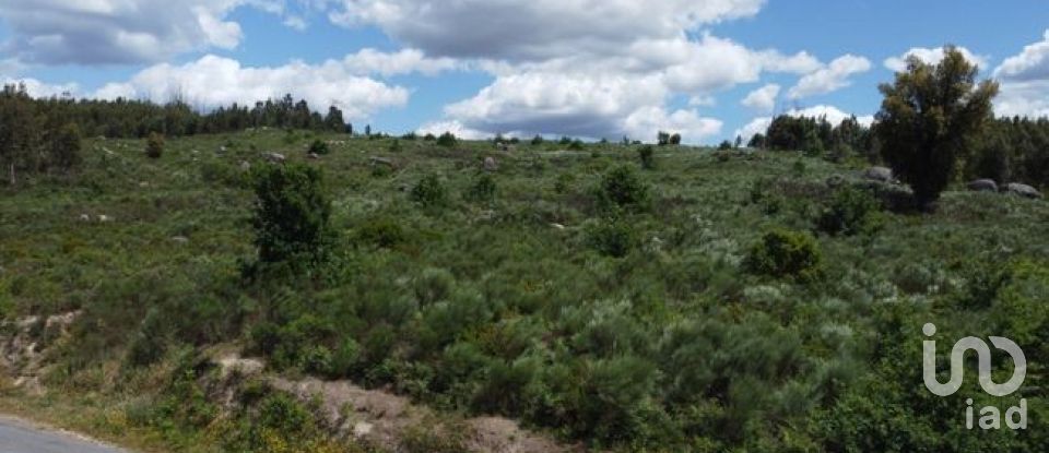 Land in Seixo da Beira of 48,000 m²