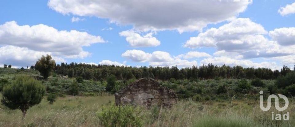 Land in Seixo da Beira of 48,000 m²