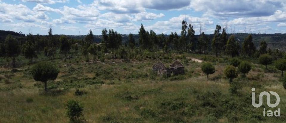 Land in Seixo da Beira of 48,000 m²