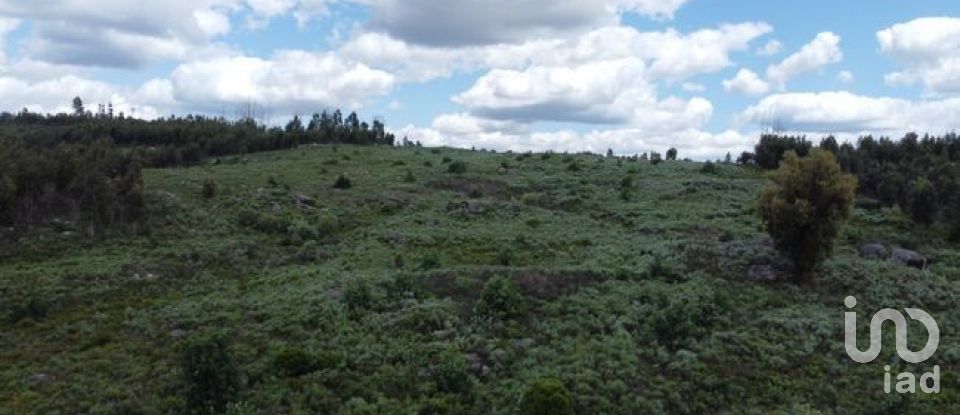 Land in Seixo da Beira of 48,000 m²