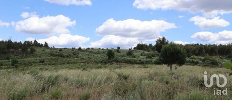 Land in Seixo da Beira of 48,000 m²