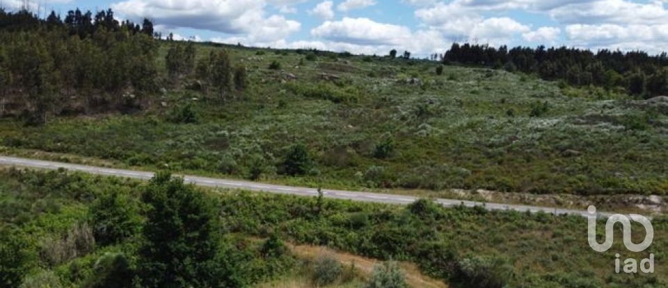 Land in Seixo da Beira of 48,000 m²