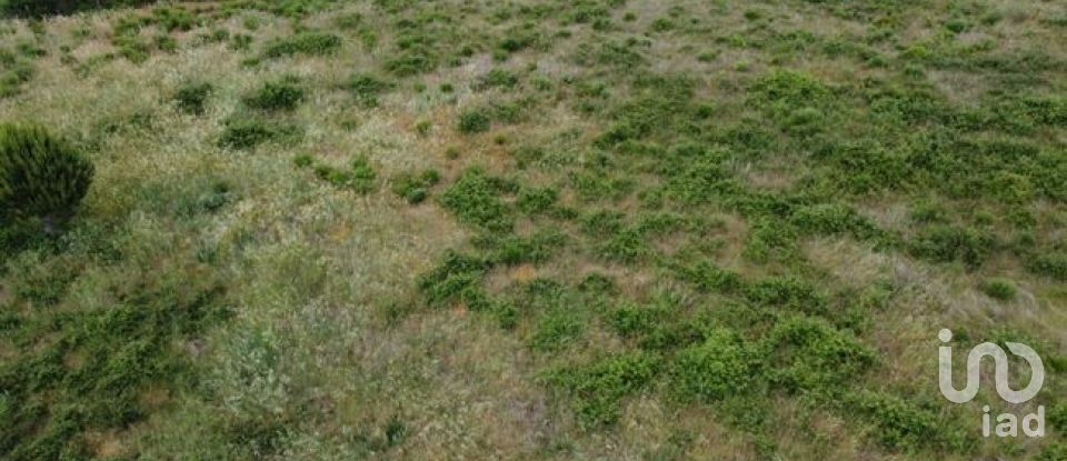 Land in Seixo da Beira of 48,000 m²