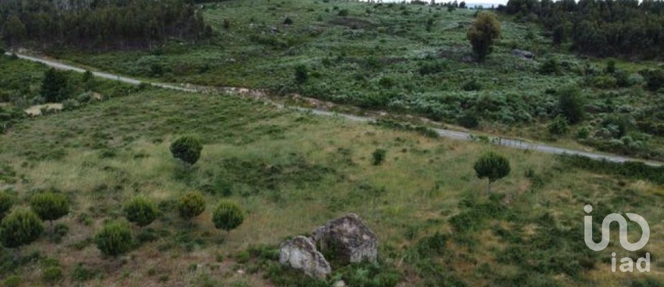 Land in Seixo da Beira of 48,000 m²