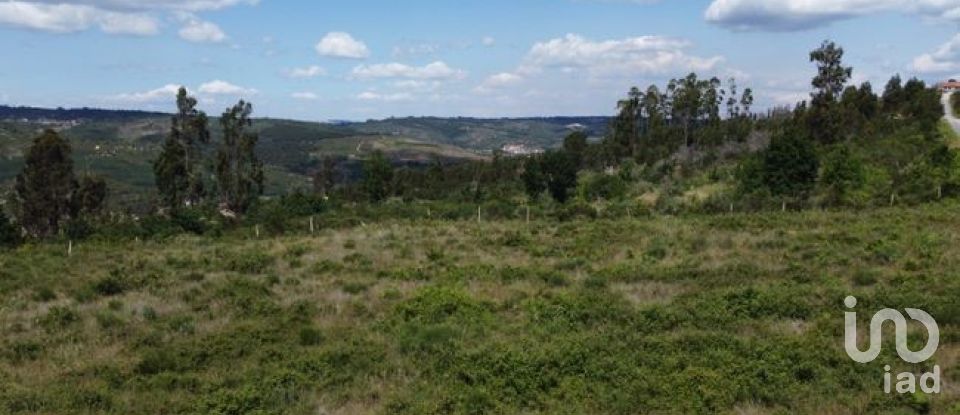 Land in Seixo da Beira of 48,000 m²