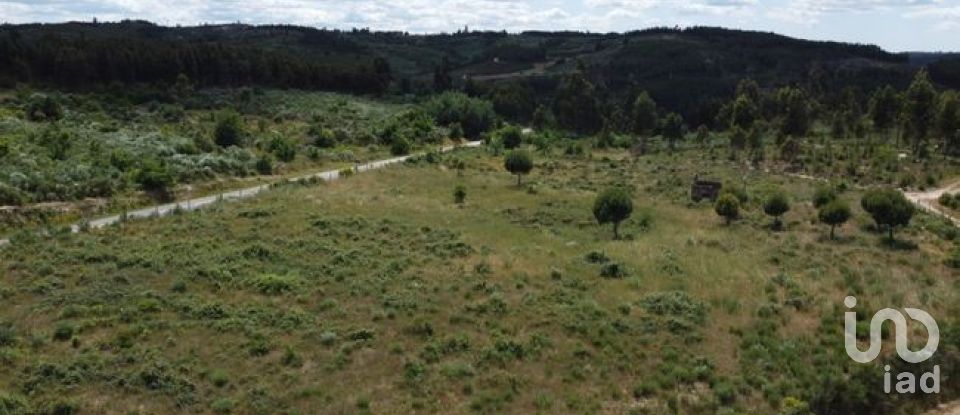 Land in Seixo da Beira of 48,000 m²