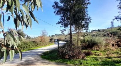 Terrain à Oliveira do Hospital e São Paio de Gramaços de 24 500 m²