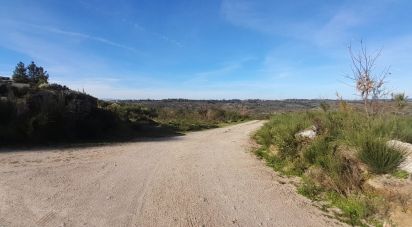 Terrain à Oliveira do Hospital e São Paio de Gramaços de 24 500 m²