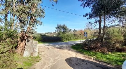 Terrain à Oliveira do Hospital e São Paio de Gramaços de 24 500 m²