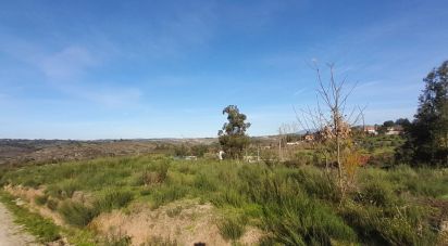 Terrain à Oliveira do Hospital e São Paio de Gramaços de 24 500 m²